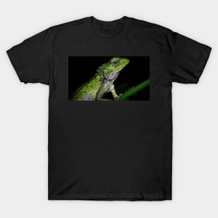 A close up of a changeable lizard (Calotes versicolor) T-Shirt